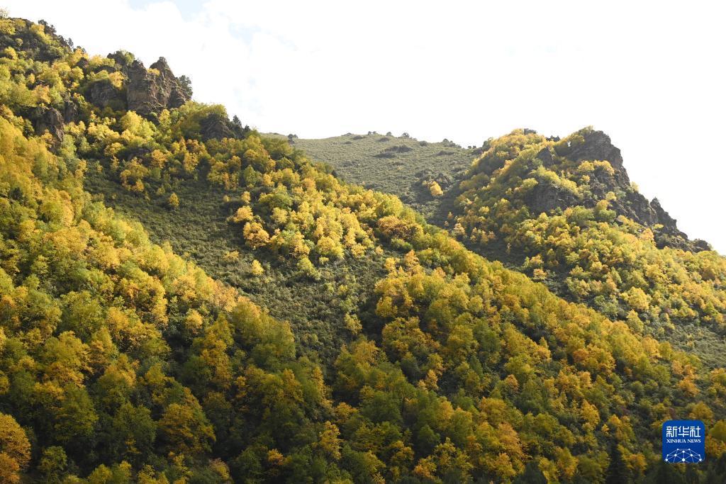 银河注册送